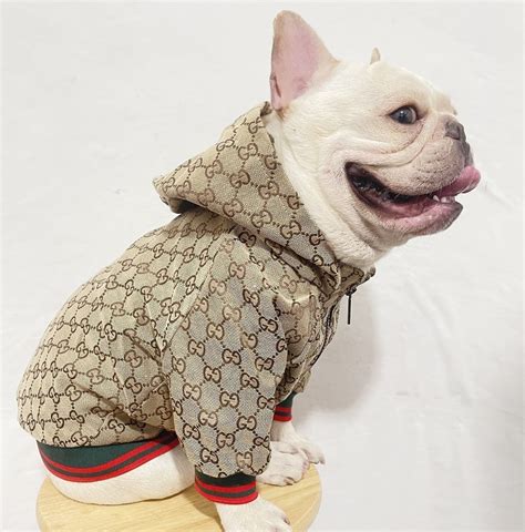 gucci small dog coat|Designer Dog Clothes .